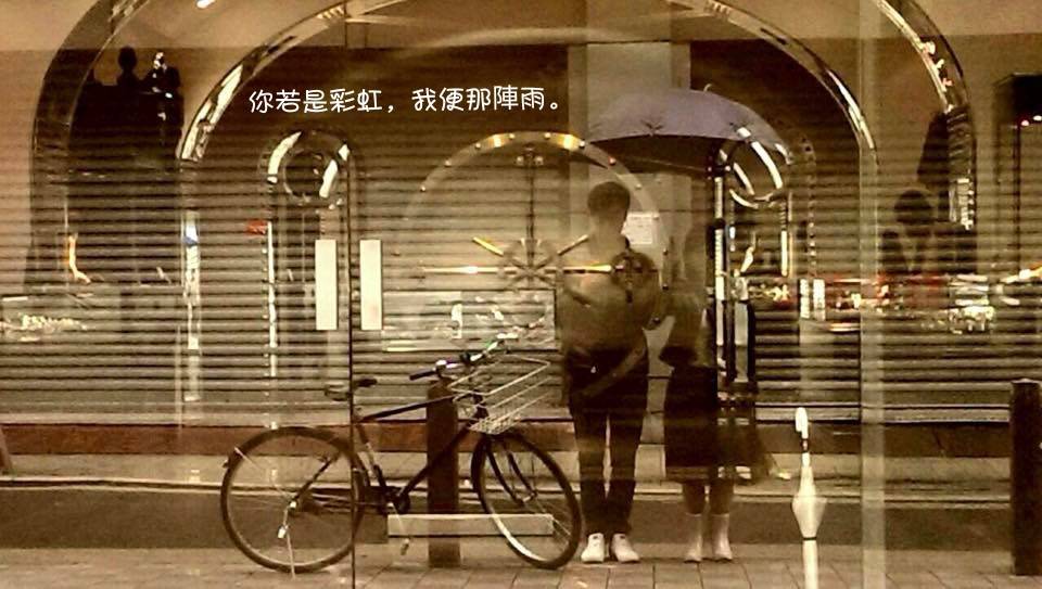 Read more about the article 愛情的流程
