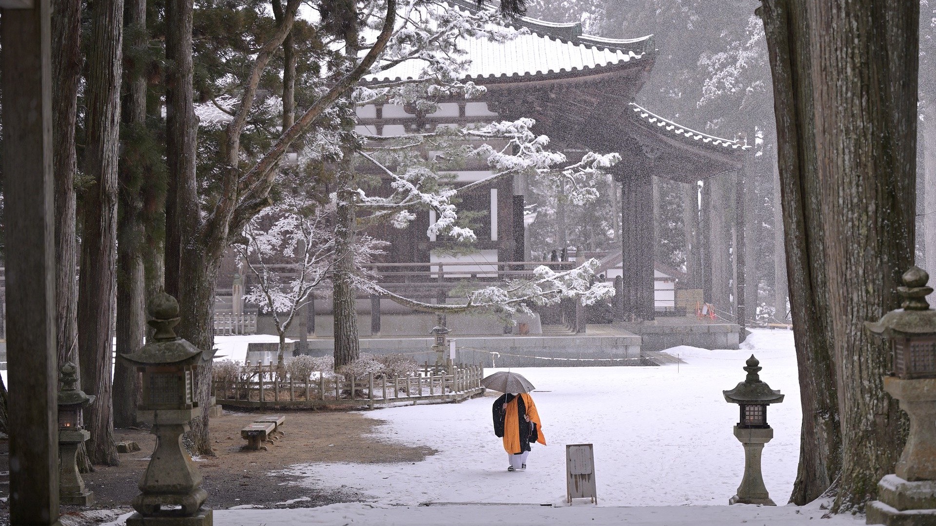 You are currently viewing 網路行銷，不靠流量