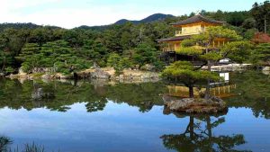Read more about the article 東京夢亭 13 上風呂
