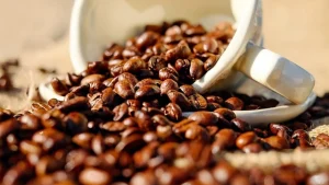Read more about the article 八字裡的金錢功課：愛與財的修煉場