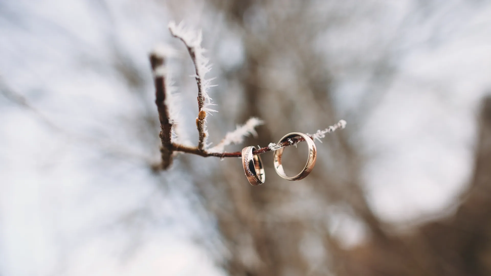 You are currently viewing 個人形象