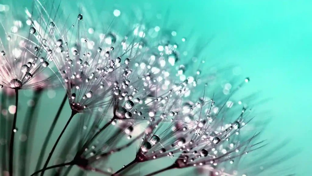 Read more about the article 成功與運氣