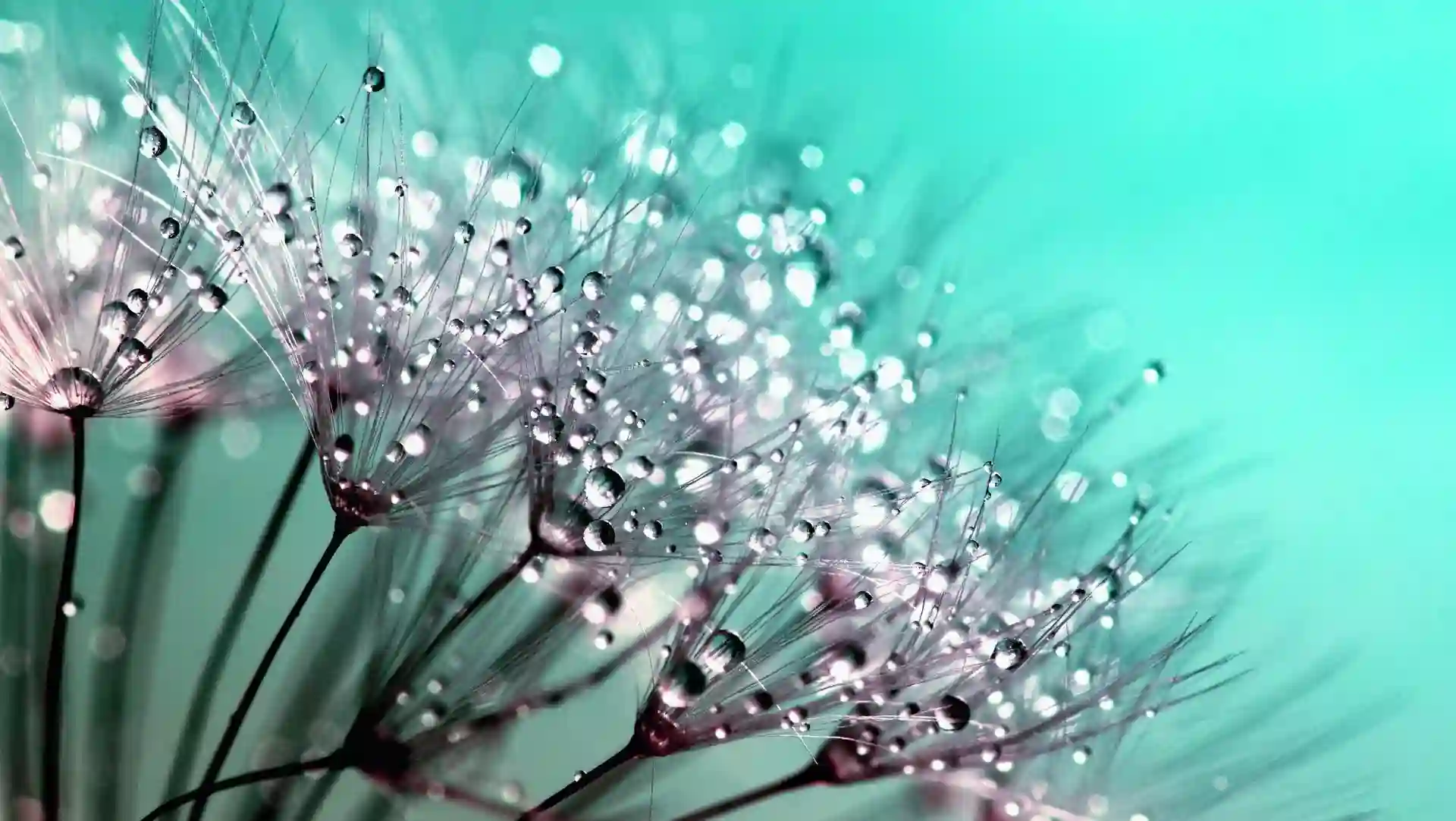 You are currently viewing 成功與運氣