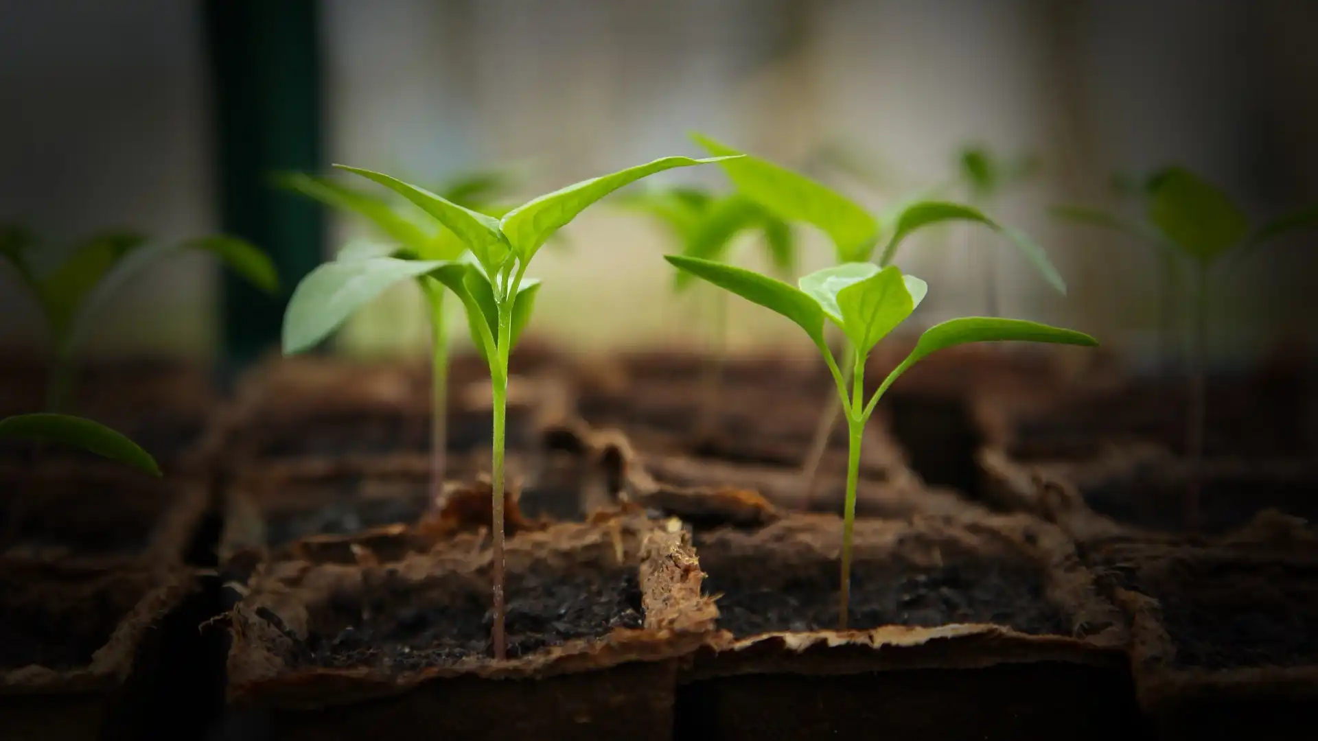 You are currently viewing 誰最具潛力？ 上