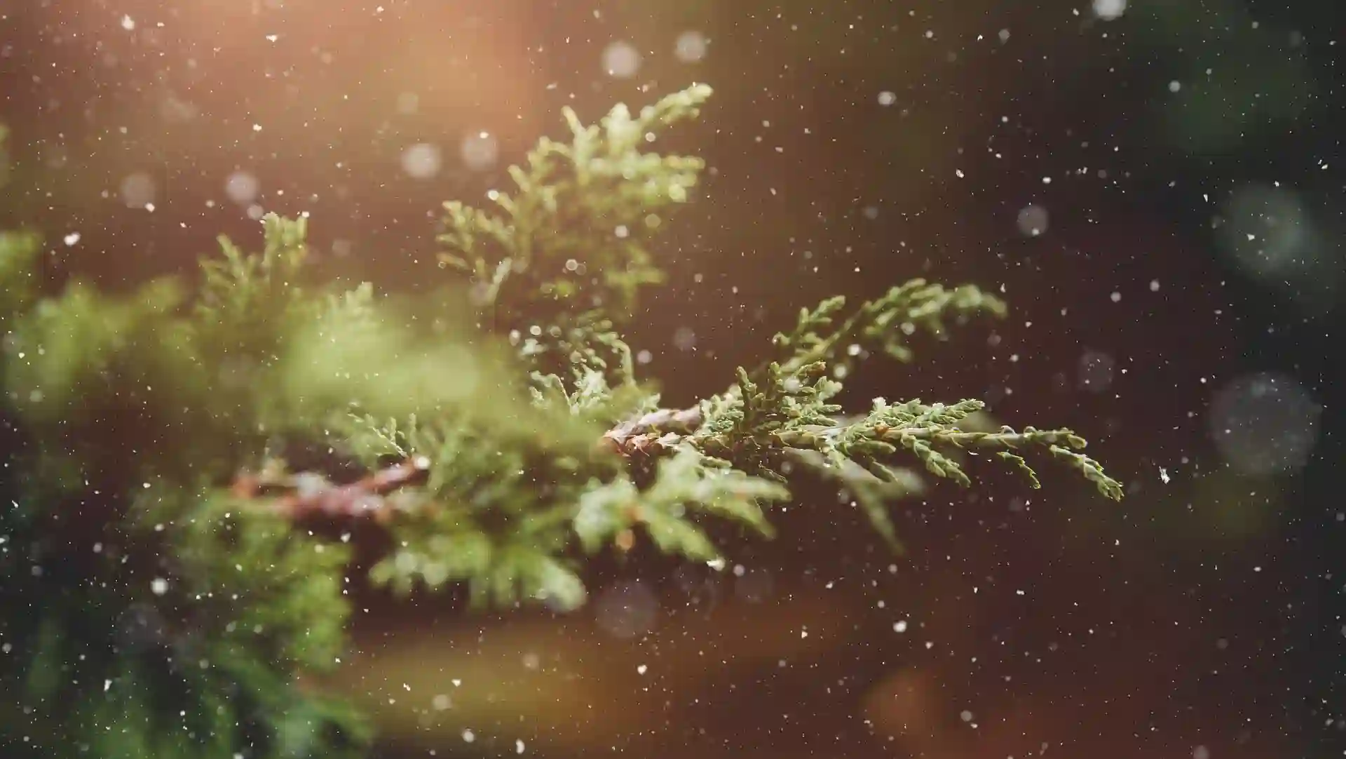 You are currently viewing 網路行銷，不靠流量