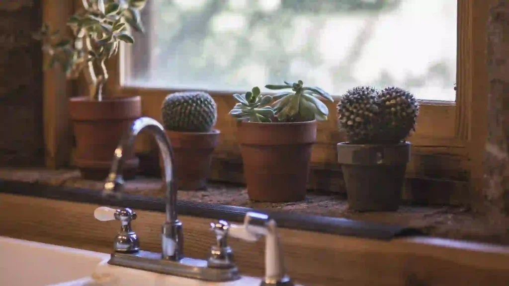 Read more about the article 改革風水