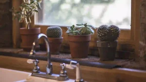 Read more about the article 改革風水