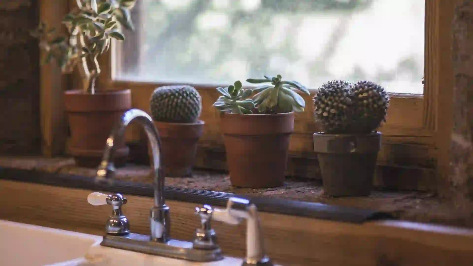 You are currently viewing 改革風水