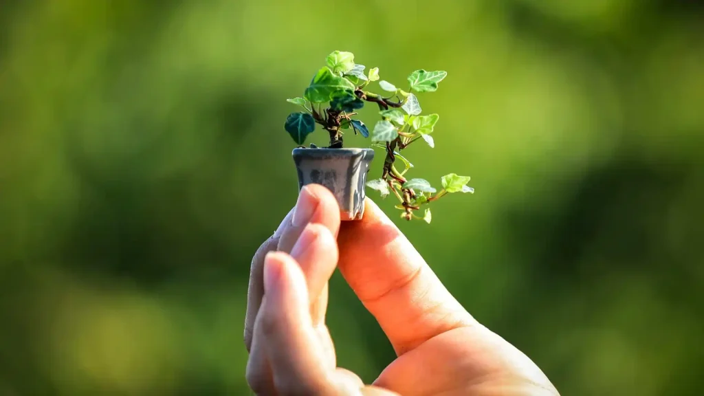 Read more about the article 移財位