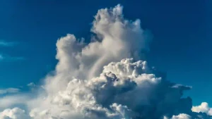 Read more about the article 新年計劃