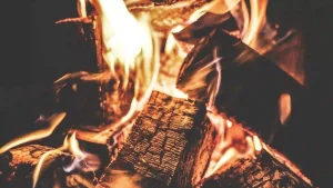 Read more about the article 如何對付偏財星