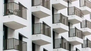 Read more about the article 蛋白區