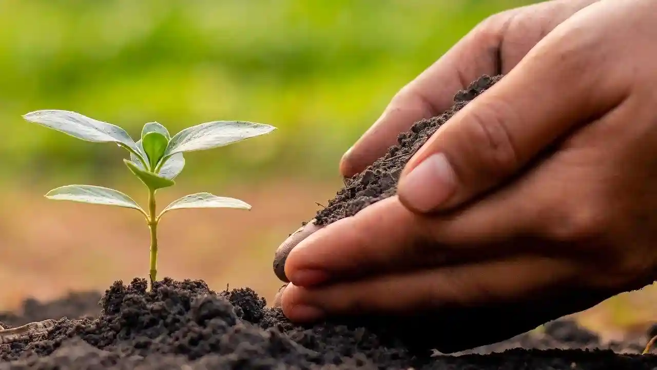 You are currently viewing 起家厝 