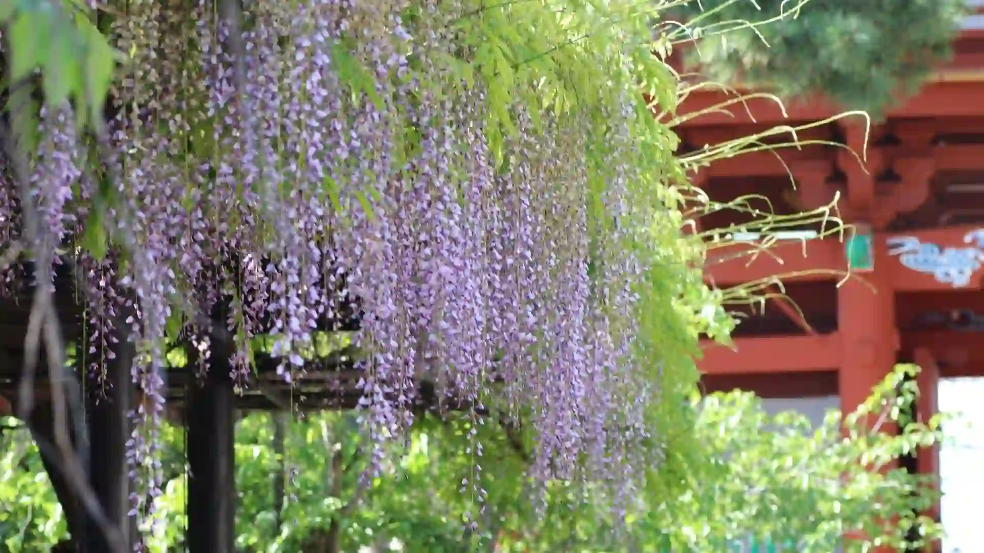 You are currently viewing 源太與貴人