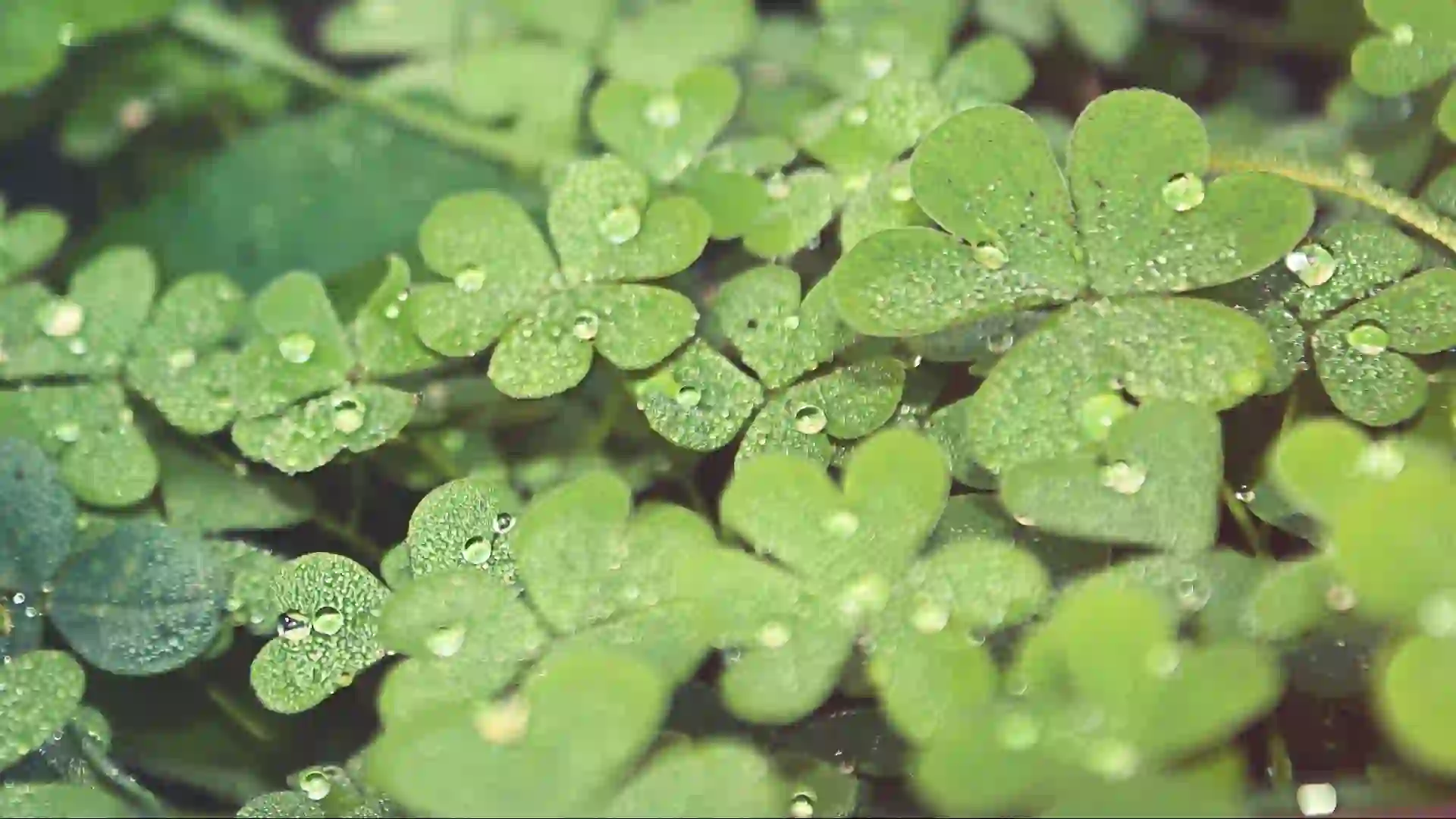 You are currently viewing 時機