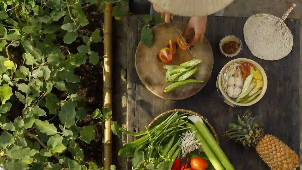 Read more about the article 健康的秘密