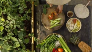 Read more about the article 健康的秘密