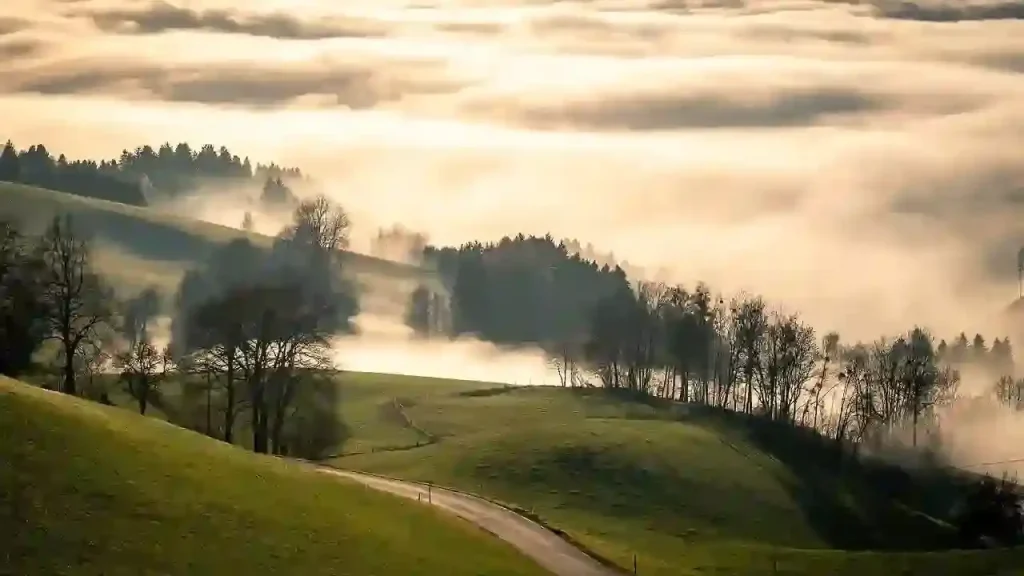 Read more about the article 七殺之疾病