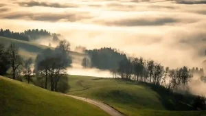 Read more about the article 七殺之疾病