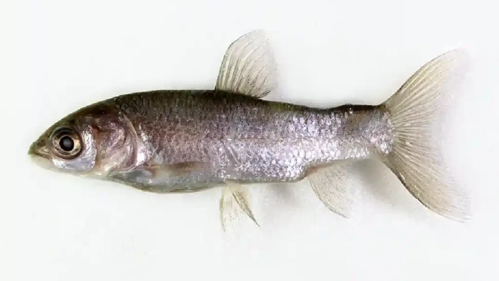 Read more about the article 受保護的內容: 2024冬季改運…飲食篇