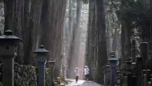 Read more about the article 奇門遁甲占卜…面試下屬