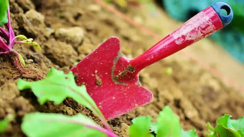 Read more about the article 受保護的內容: 2025春季改運 預防癌