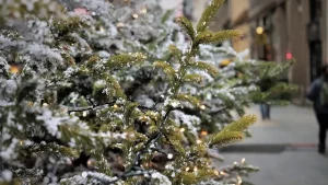 Read more about the article 受保護的內容: 改運班VIP……辛日主之秋季流月