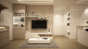 Read more about the article 風水的預言 上：一場來得太晚的相信