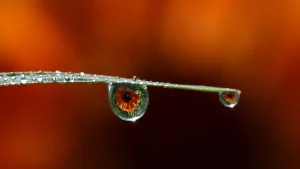 Read more about the article 愛過，就不算辜負。