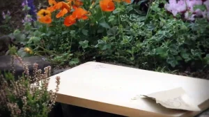 Read more about the article 我與一塊舊菜板的早晨