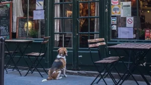 Read more about the article 奇門治百日咳 上…五鬼病