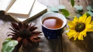 Read more about the article 受保護的內容: 三伏天——中伏養生