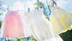 Read more about the article 價值觀的傳承不是灌輸，而是同行